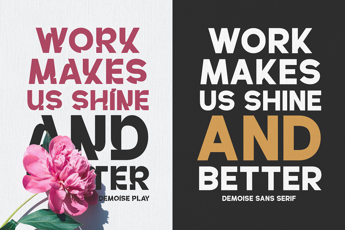 Demoise - 2 Font Styles (28 Fonts), a Sans Serif Font by Maculinc Type (Photo 3 of 9)