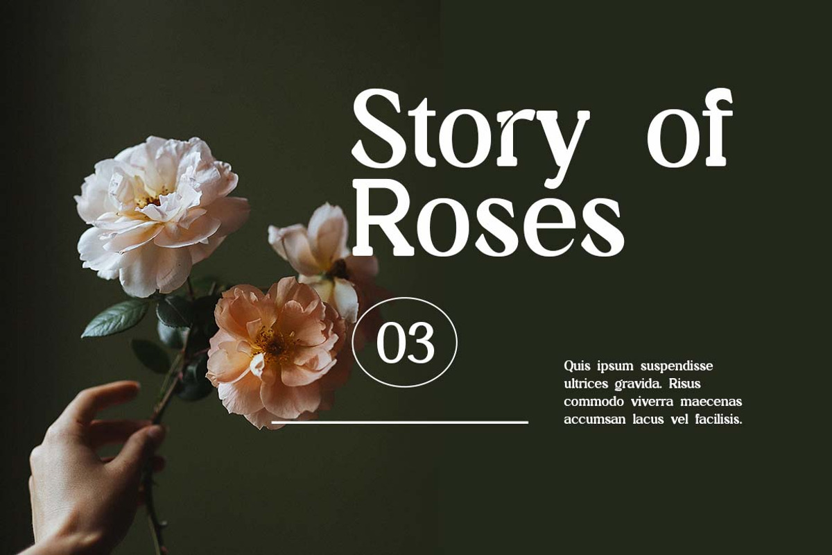 Midnight Mind Modern Serif Font, a Serif Font by UICreative (Photo 9 of 13)