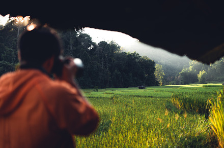 evening rice fields in the countryside, a Nature Photo by Art Rachen