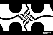 Circus Didot, a Serif Font by Paratype (Thumbnail 3 of 6)