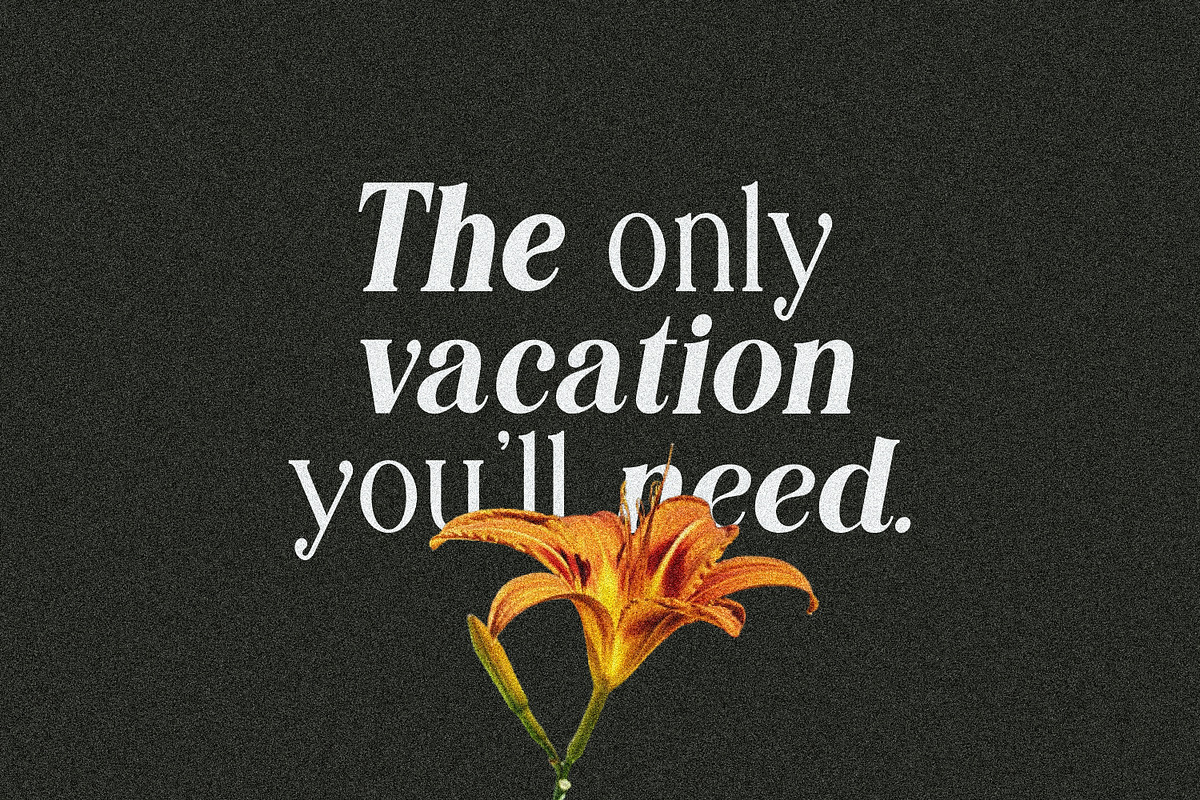 Editorial Revival Serif (70 fonts), a Serif Font by MaxArt Foundry (Photo 9 of 30)