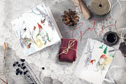 Gnome Wonderland, an Illustration by Alisa Mikibith Art (Thumbnail 6 of 18)