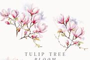 Watercolor Floral Bundle (45 in 1), a Decorative Illustration by Lana Elanor (Thumbnail 117 of 180)