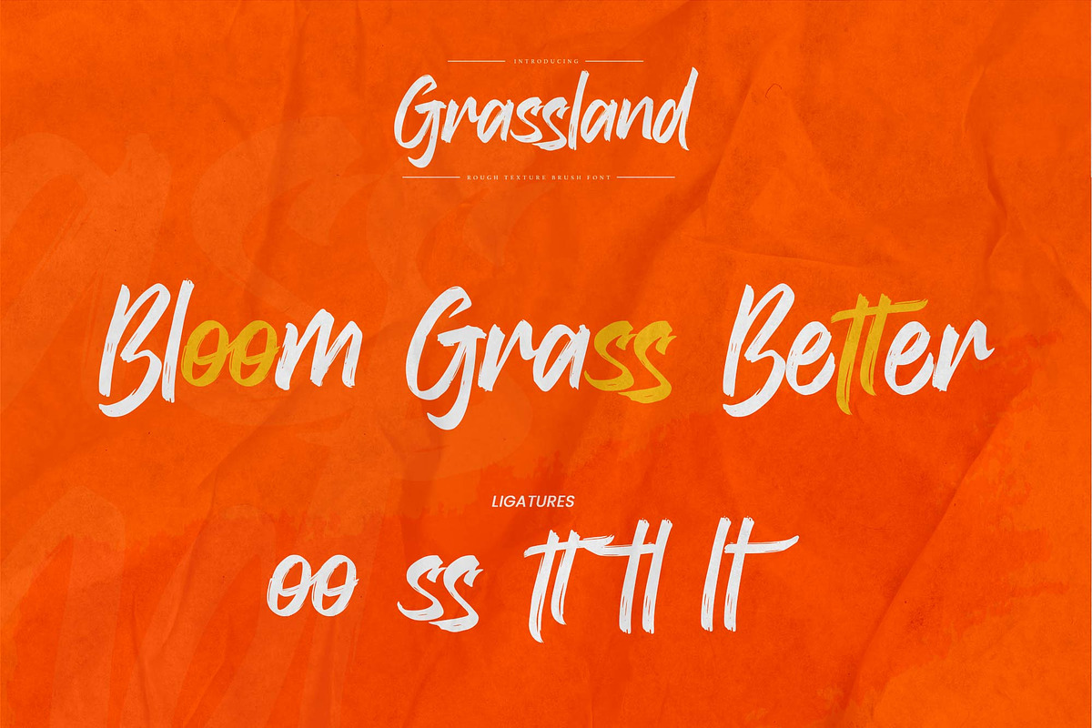 Grassland – Rough Texture Brush Font, a Handwritten Font by Gassstype (Photo 7 of 10)