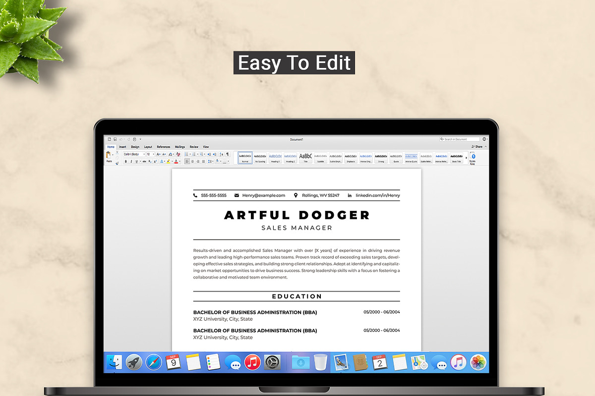 Sales Manager Resume Template, a Resume Template by ResumeInventor (Photo 5 of 9)