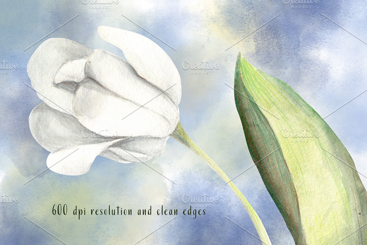 Spring Blossom Watercolor Flowers, an Illustration by Sha1nee (Photo 4 of 4)