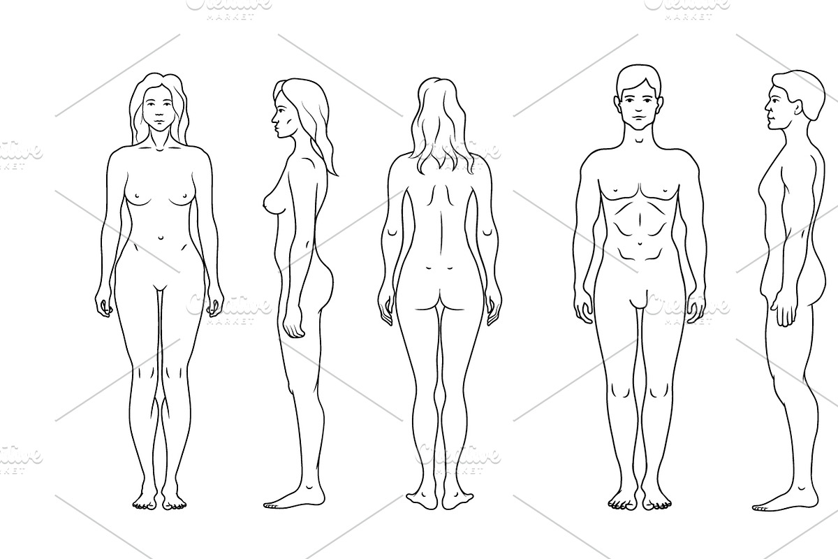 Silhouettes of human body, an Outline Icon by BestPics