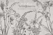 wildflowers clipart, a Decorative Illustration by JULIA x JULIE's ART (Thumbnail 1 of 5)