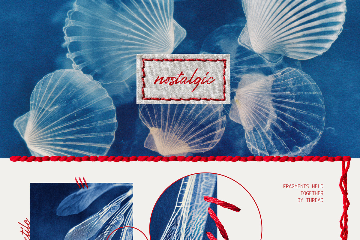 Red Embroidery&Cyanotype Collection, an Object Graphic by Hello Muse (Photo 7 of 13)