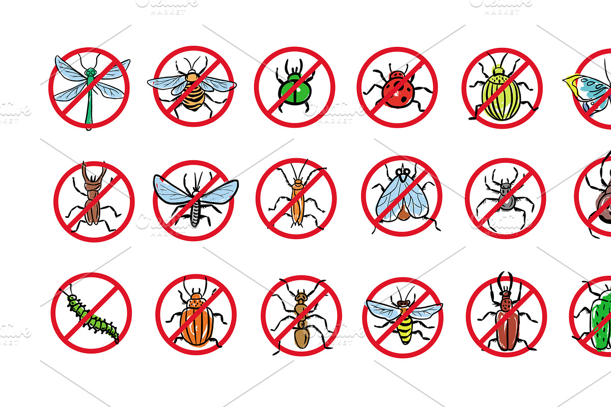 Set of insects, an Animal Illustration by IPVector (Photo 4 of 6)