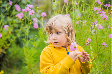 Boy enjoying pink flowers in the, a Nature Photo by Elizaveta Galitskaya