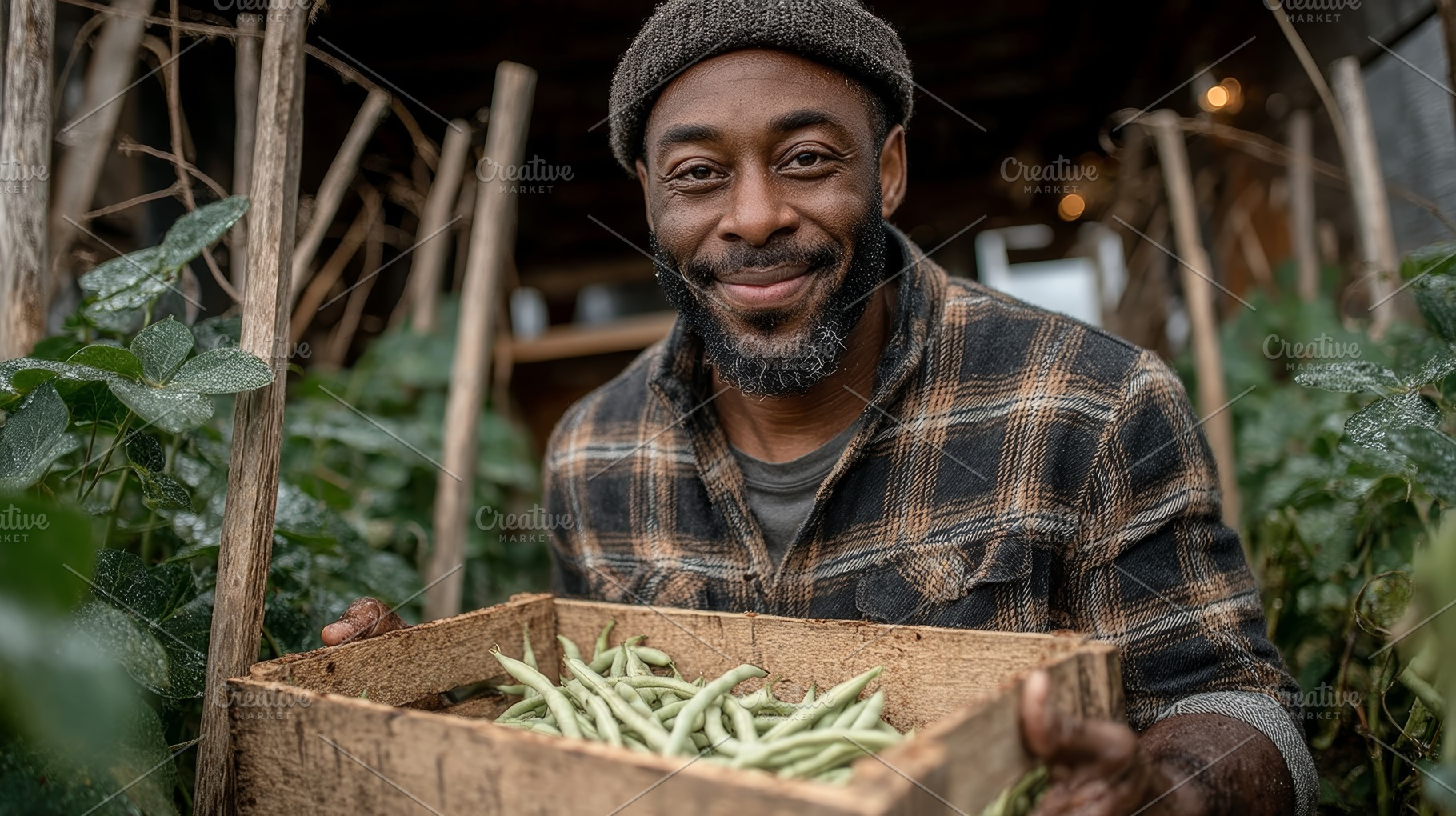Farmer holding crate of fresh green beans between rows of plants in a rustic gr, a Photo by AS photostudio