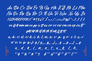 Bollady Krettek Modern Bold Script, a Script Font by stylishtype.co (Thumbnail 5 of 10)