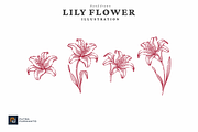 Vintage Hand Drawn Lily Flower, an Object Illustration by putra_purwanto (Thumbnail 1 of 3)