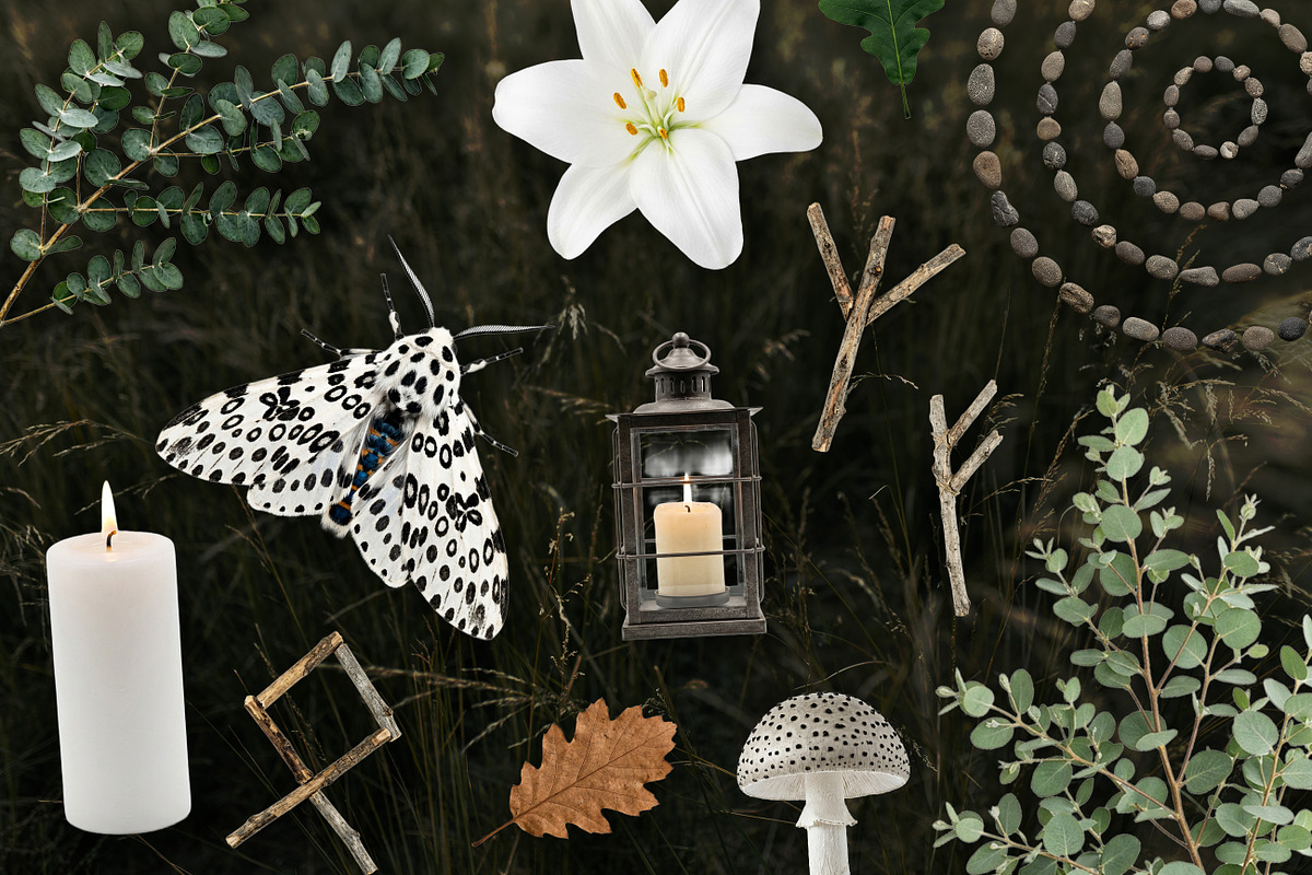 Witch's Magic Garden Collage Kit, an Object Illustration by Vicccky (Photo 6 of 9)