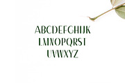 Severn Sans Serif Font Family, a Sans Serif Font by Creativetacos (Thumbnail 2 of 5)