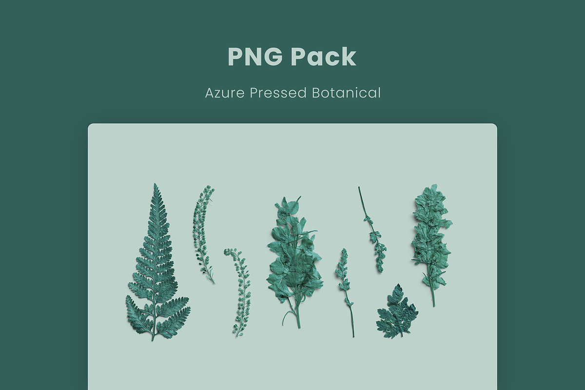 Azure Pressed Botanical PNG Pack, an Object Graphic by Custom Scene (Photo 8 of 8)