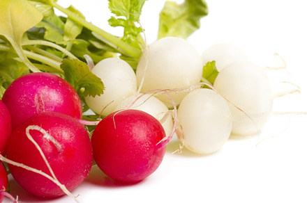 Radish stock photo containing agriculture and background, a Food & Drink Photo by Anna Moskvina