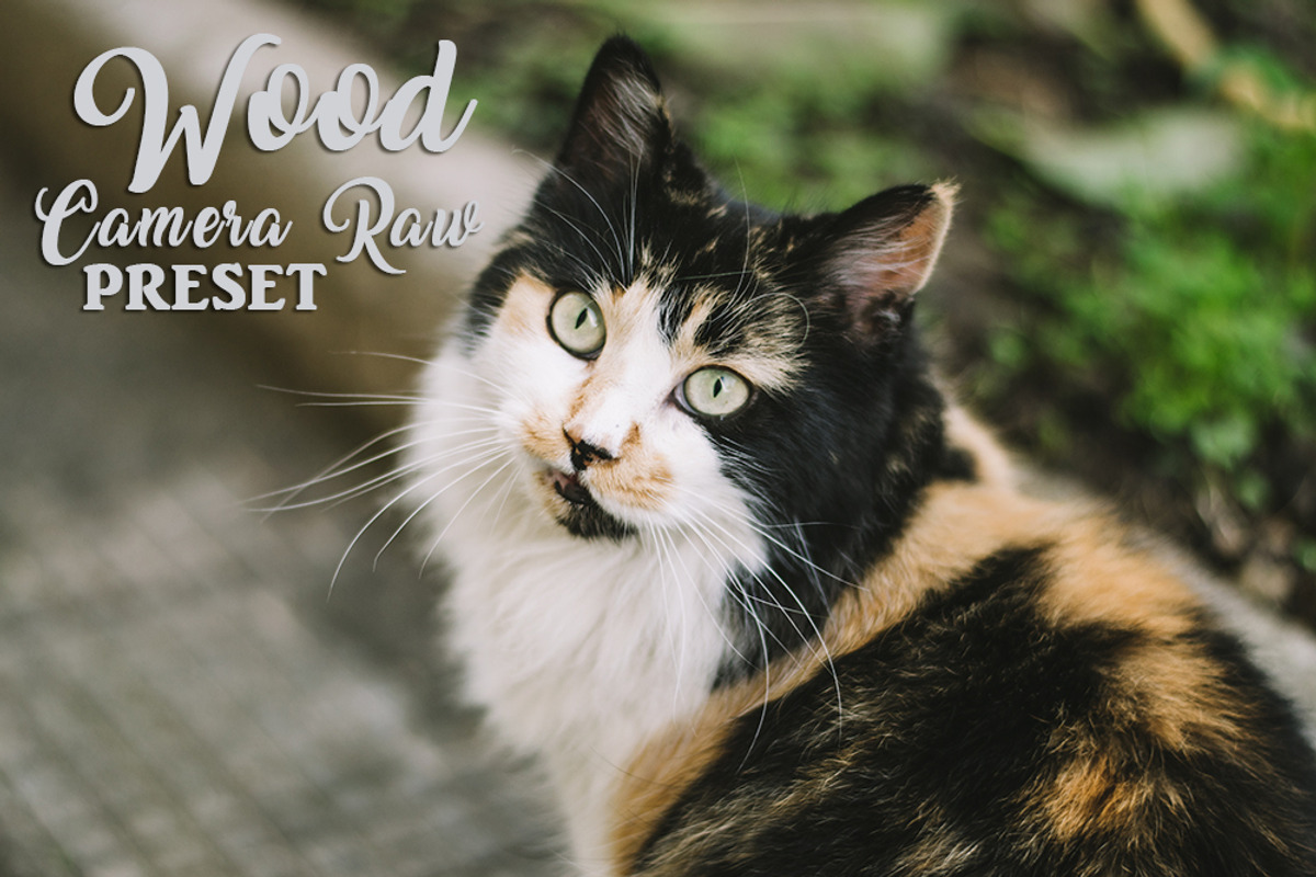 Camera Raw Preset Collection preview 4