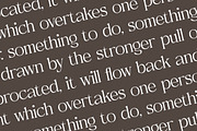 Metrolin Modern Serif Font, a Serif Font by Storytype Studio (Thumbnail 10 of 15)