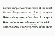 Radcliffe Hand - 7 fonts, a Serif Font by Zetafonts (Thumbnail 4 of 14)