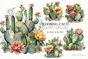 Blooming Cacti Clipart