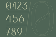 VEN - Display Typeface, a Font by Dat Do (Thumbnail 5 of 25)