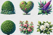 Watercolor Bushes Clipart Sublimatio, an Illustration by Black Bird Studio (Thumbnail 3 of 6)