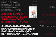 ChairoNeue, a Sans Serif Font by Propertype (Thumbnail 14 of 14)