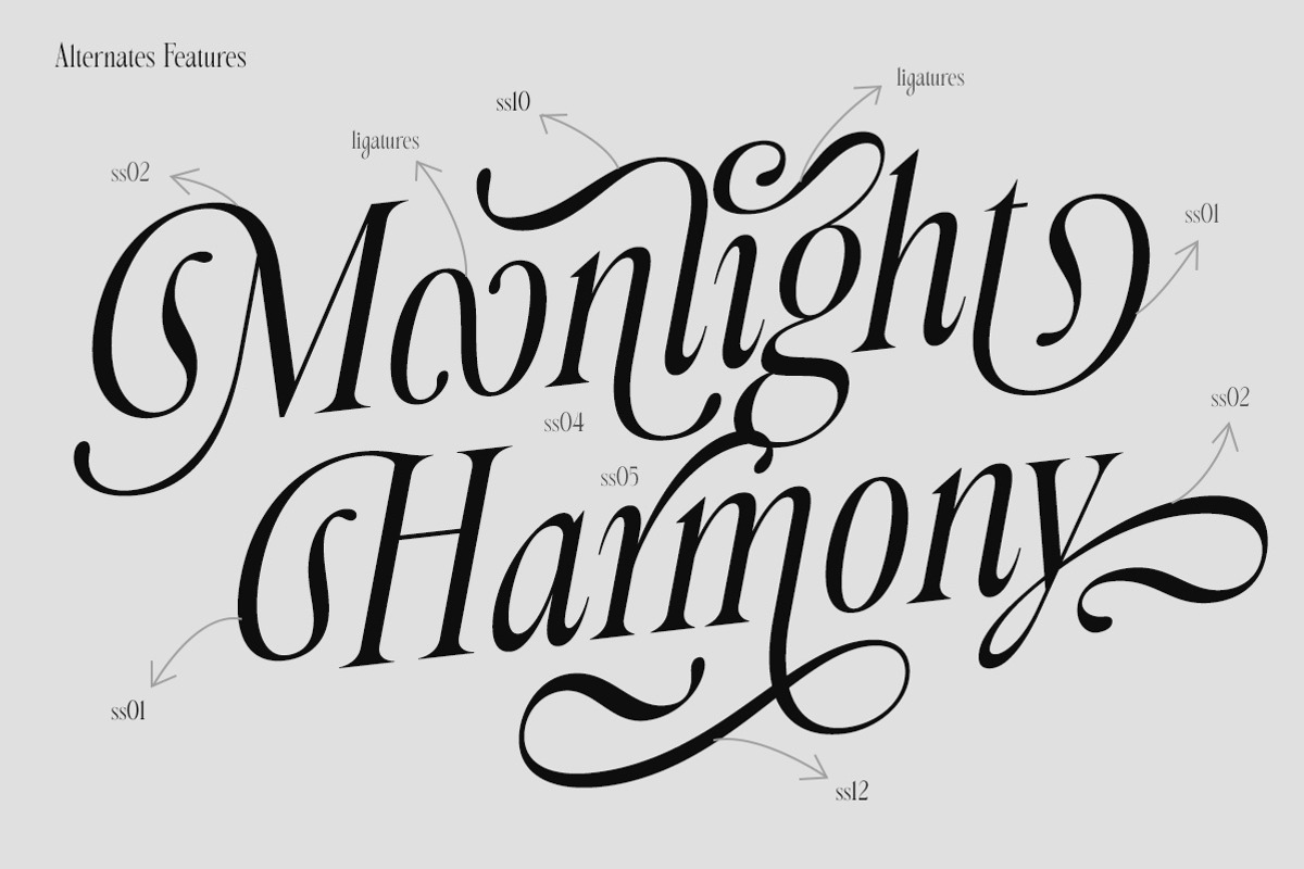 Morvella Stylish Serif, a Serif Font by Letterhend Studio (Photo 8 of 12)