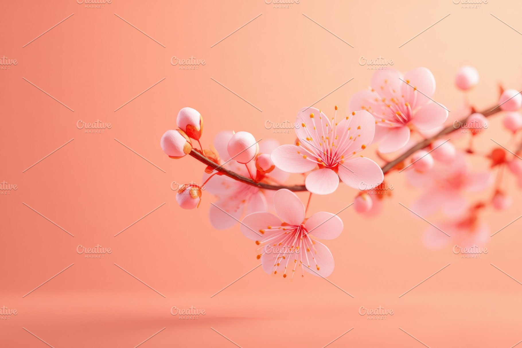 Pink cherry blossom branch, a Nature Photo by AlyaAnd