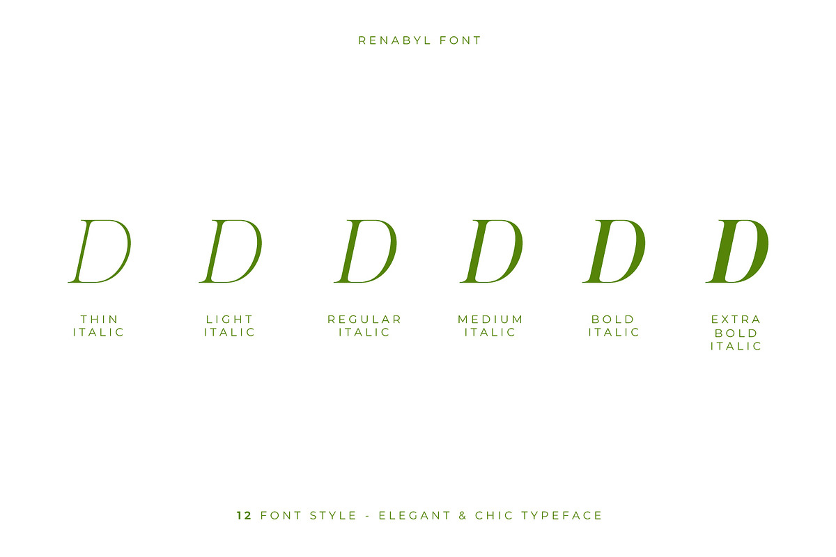 Renabyl - Serif Family Font, a Serif Font by Rishsketch (Photo 1 of 15)