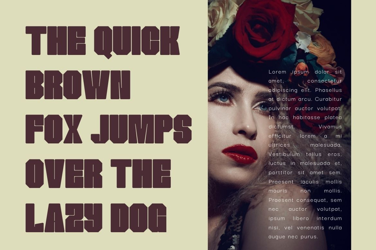Mokenzo - Heavy Sans, a Sans Serif Font by Almeera Std (Photo 6 of 6)
