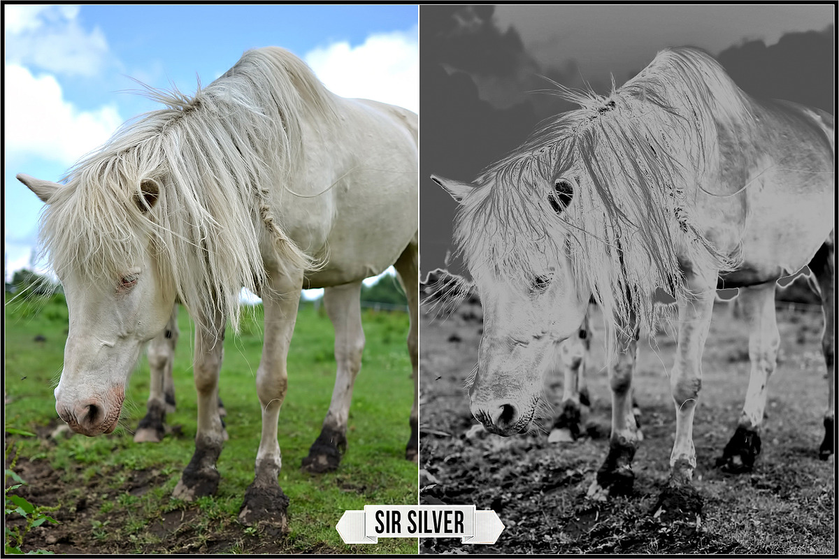 Solarized IR Inspired profiles LUTs, a Plug-in Add-On by Raztrend (Photo 7 of 30)