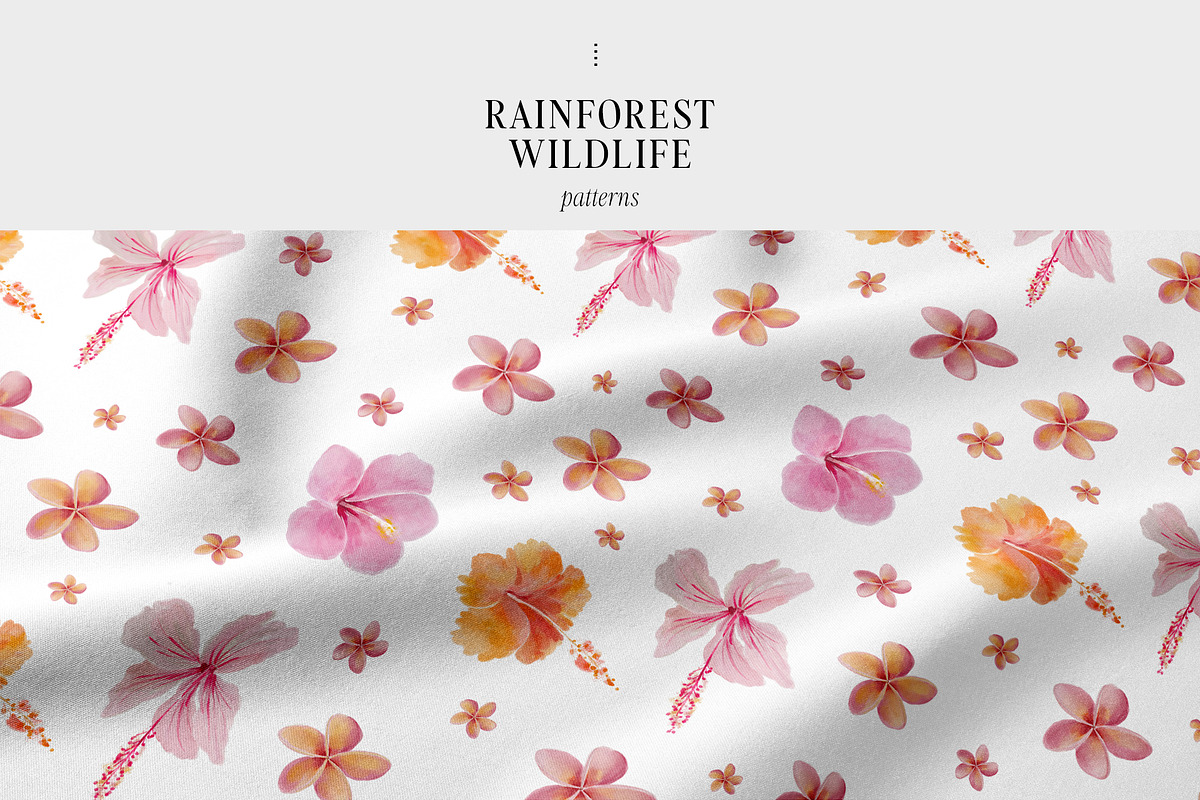 COSTA RICA — jungle animals, an Animal Illustration by Lana Elanor (Photo 10 of 11)