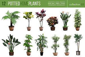 12 Potted Home Plants vol.3