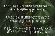 Russell Brush Script Font, a Script Font by Tom Chalky (Thumbnail 7 of 8)
