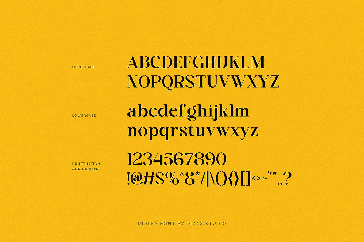 Ridley, a Serif Font by Dikas Studio (Photo 5 of 10)