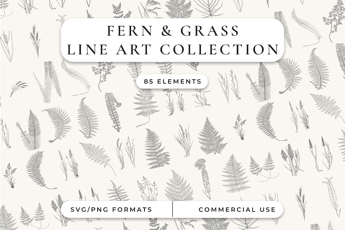 Fern & Grass Line Art Collection, a Decorative Illustration by AW Studios (Photo 1 of 11)