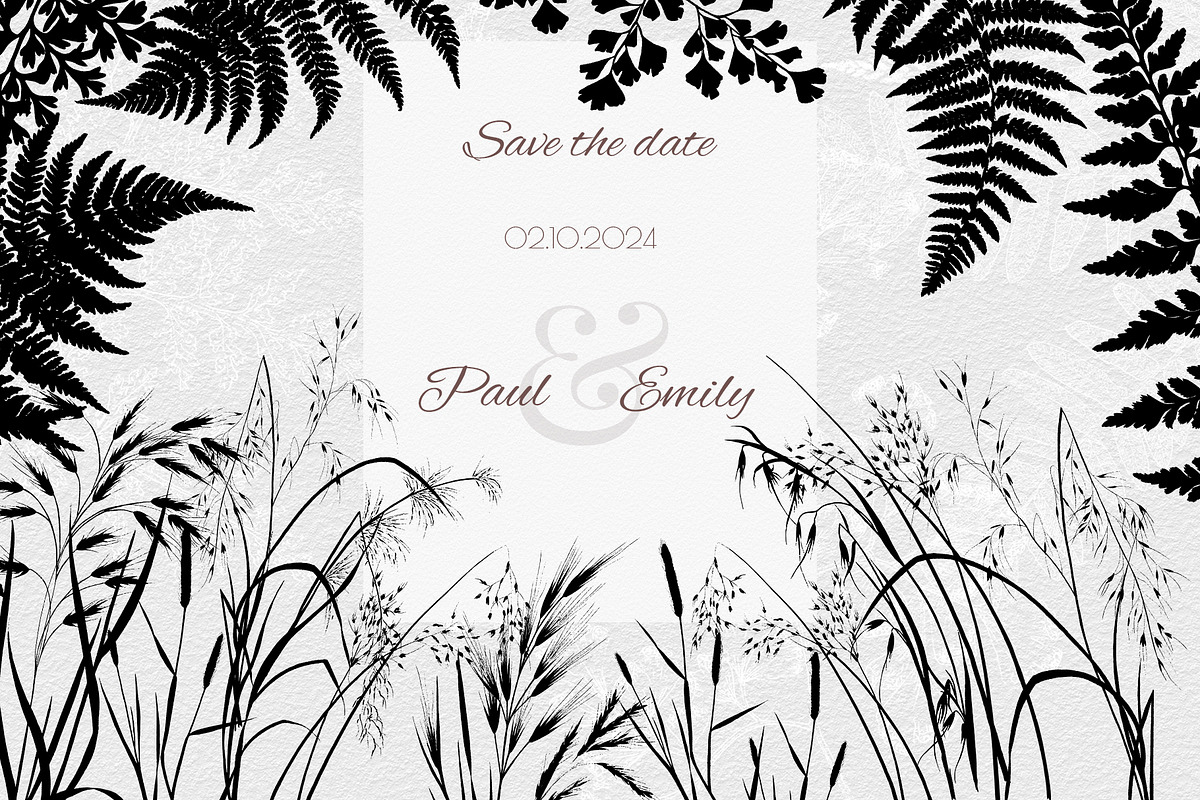 Fern and Grass Silhouettes, a Decorative Illustration by AW Studios (Photo 6 of 6)