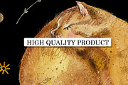 Sleeping Cats, an Illustration by Budogoshch (Thumbnail 3 of 12)