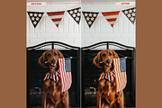 PEANUT Mobile Lightroom Presets, an Action Add-On by 123PRESETS.COM (Thumbnail 2 of 9)