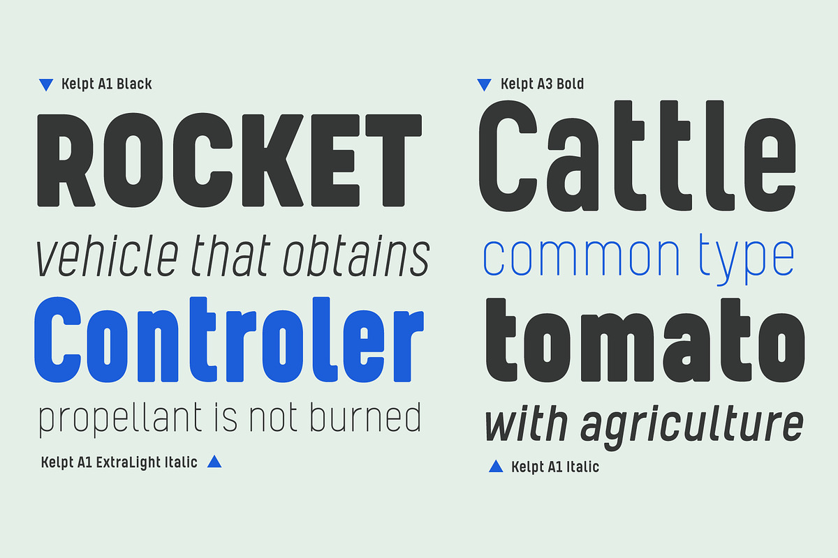 Kelpt, a Sans Serif Font by Typesketchbook Foundry (Photo 6 of 6)