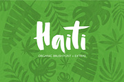 Haiti Organic Brush Font +Extras, a Script Font by Favete Art (Thumbnail 1 of 11)