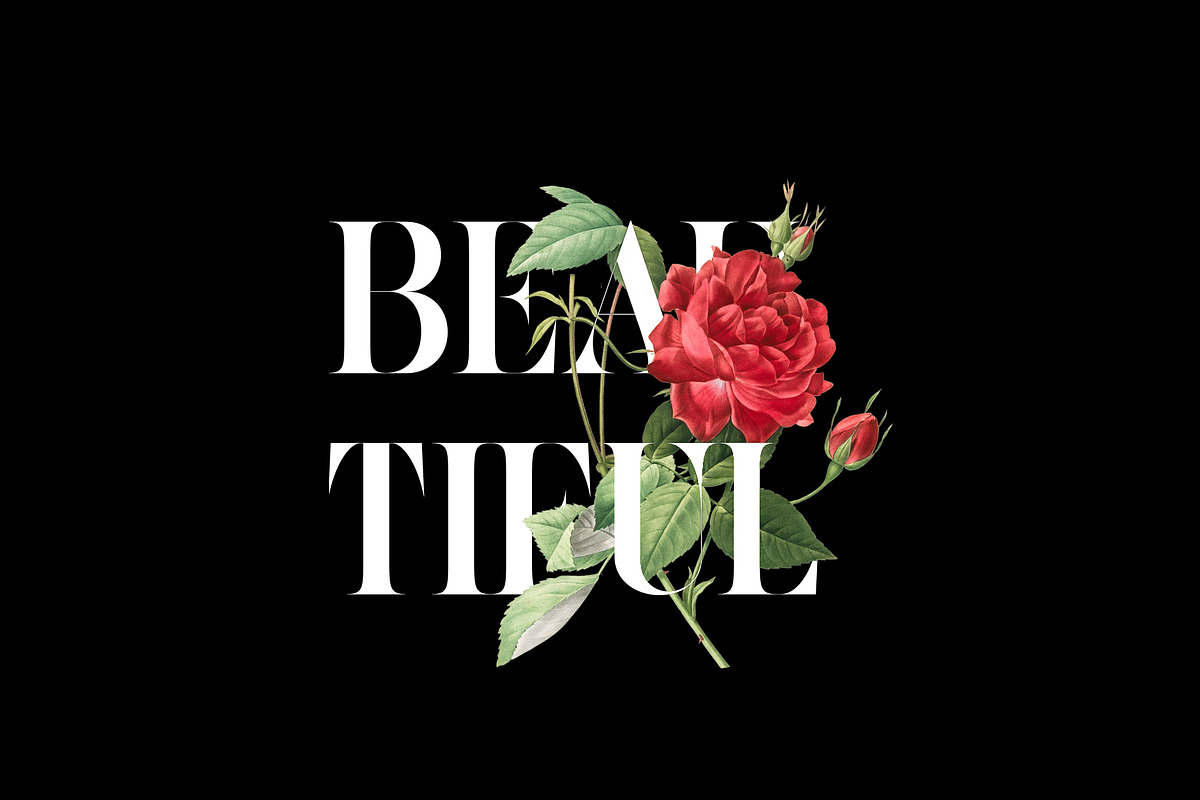 Cilager - Modern Serif Typeface, a Serif Font by Graptail (Photo 12 of 14)