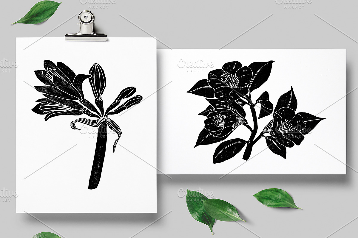 Vintage botanica, an Object Graphic by Mii Lab (Photo 2 of 8)