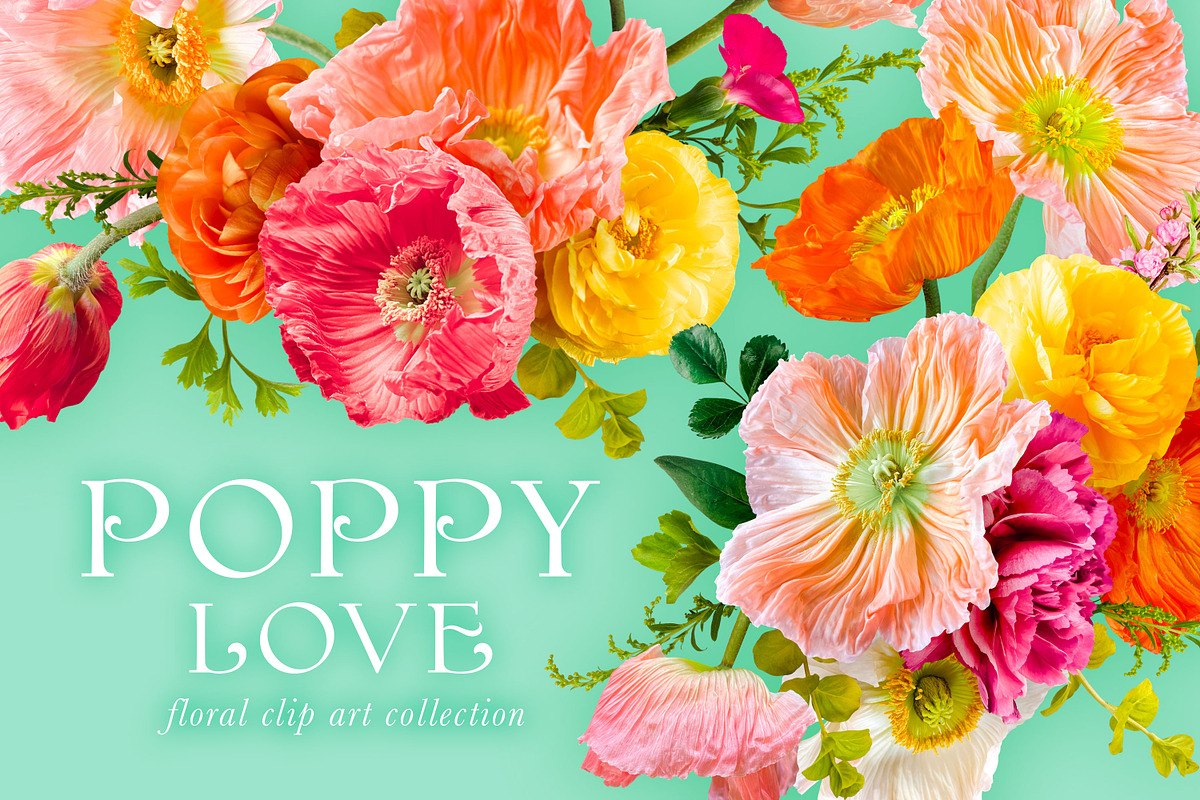 Poppy Love Floral Clip Art, an Object Graphic by Eclectic Anthology (Photo 8 of 18)