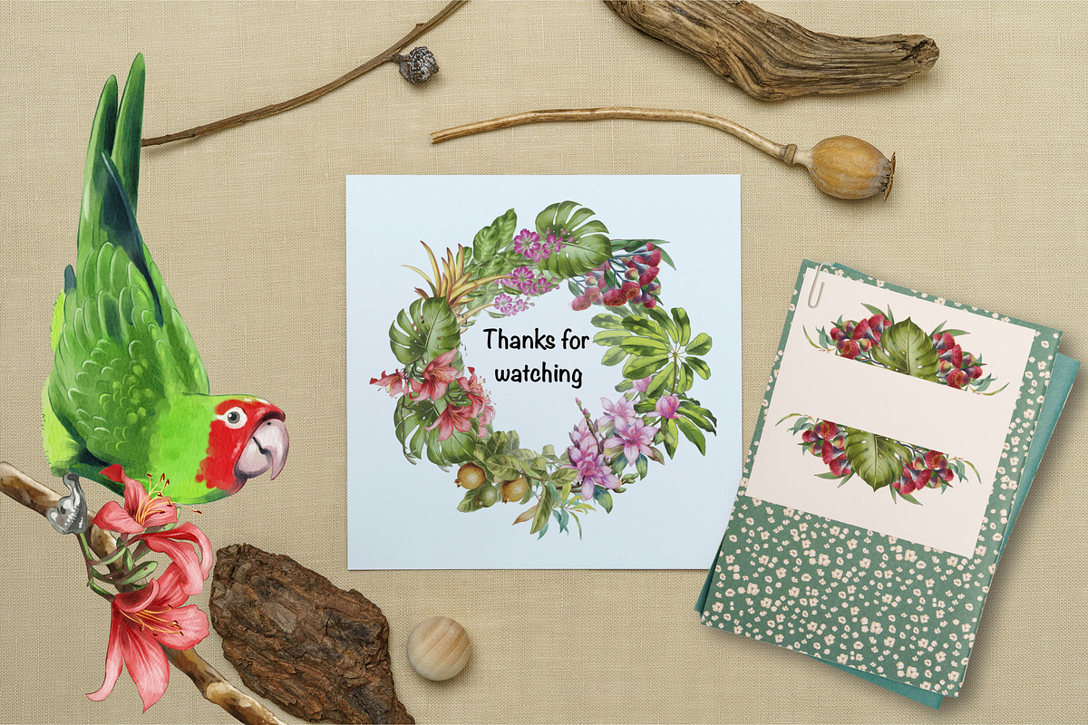 Watercolor tropical birds, an Illustration by IrynaPanashii (Photo 11 of 11)