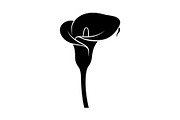 Black Lily Flower Vector Bundle, an Illustration by Designs_River (Thumbnail 24 of 51)