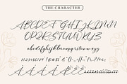 Written in History // Signature Font, a Script Font by Anatadesign (Thumbnail 9 of 10)